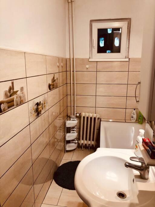 Nice Apt Near Spitalul Judetean, All You Need Lr14 Timişoara Exterior foto