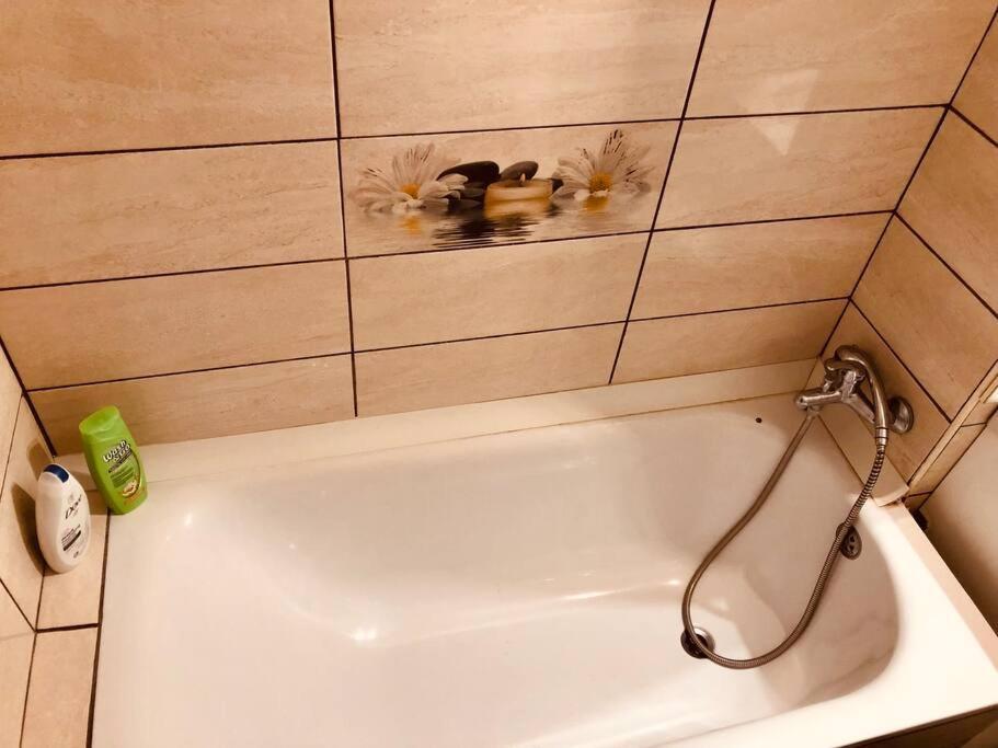 Nice Apt Near Spitalul Judetean, All You Need Lr14 Timişoara Exterior foto